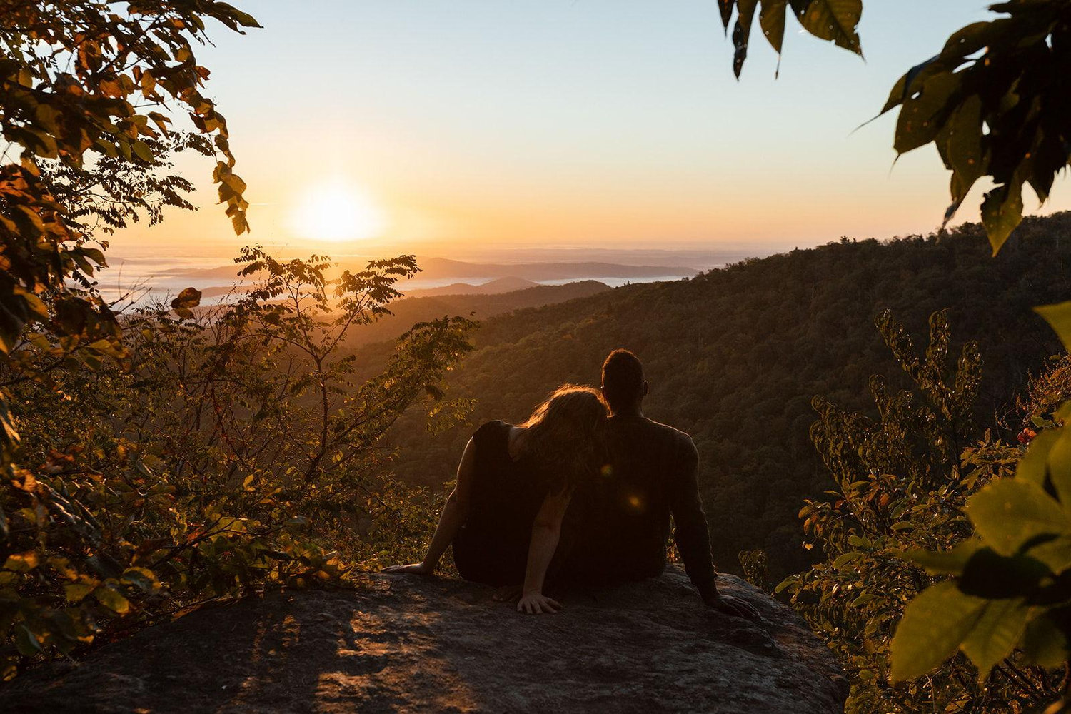The Wedding Website of Emily Davis and Scott Mitchell