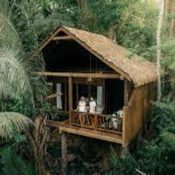One night in a jungle lodge in Belize