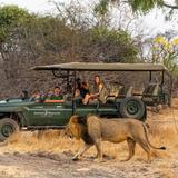 Safari - Mosi-oa-Tunya National Park