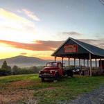 B.J. Reece Orchards