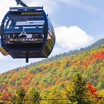 Whiteface Mountain Gondola Ride