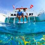 Robbie's of Islamorada