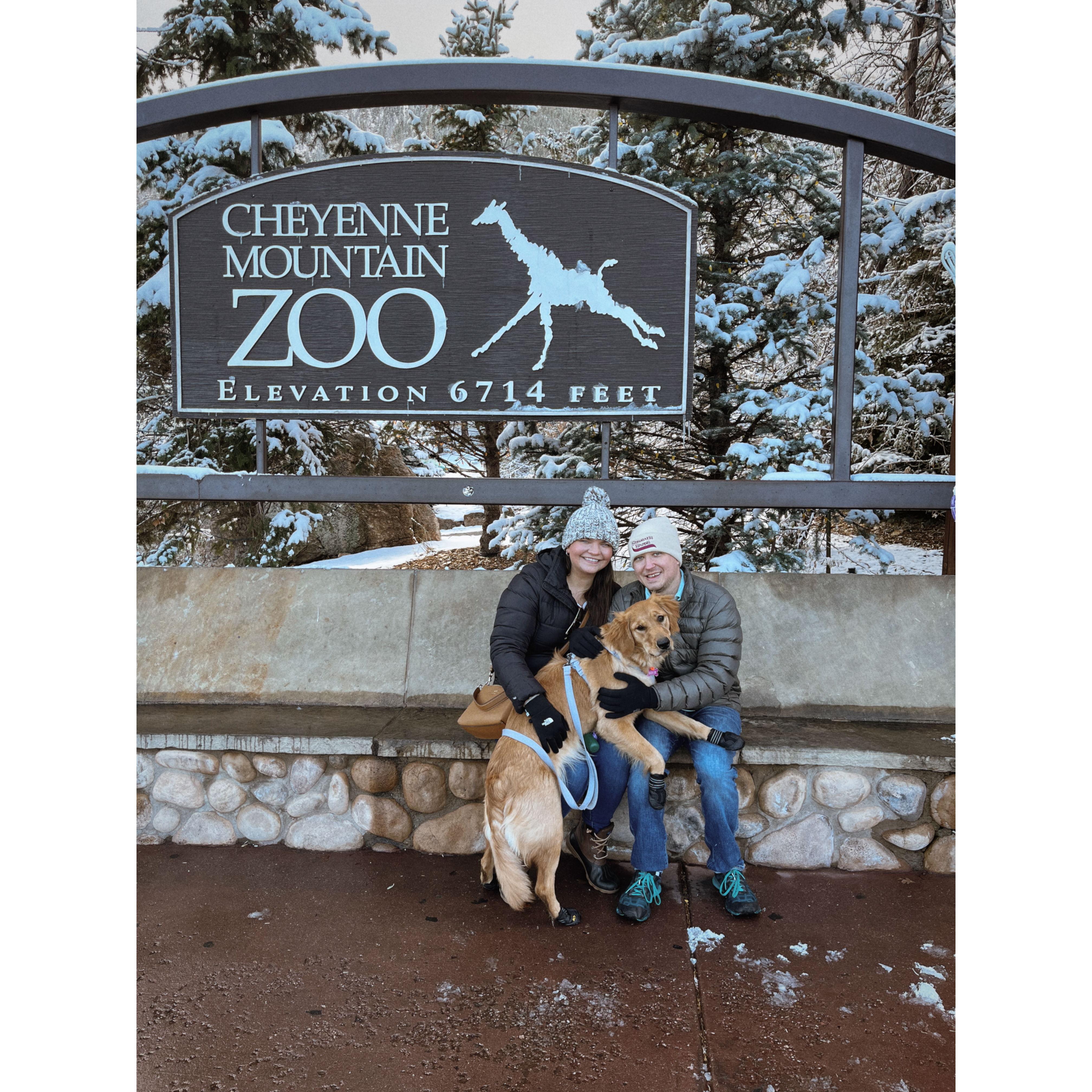 Piper's day out at the Zoo! November 2024