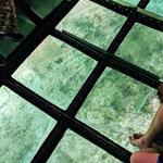 Glass Bottom Boat Tours