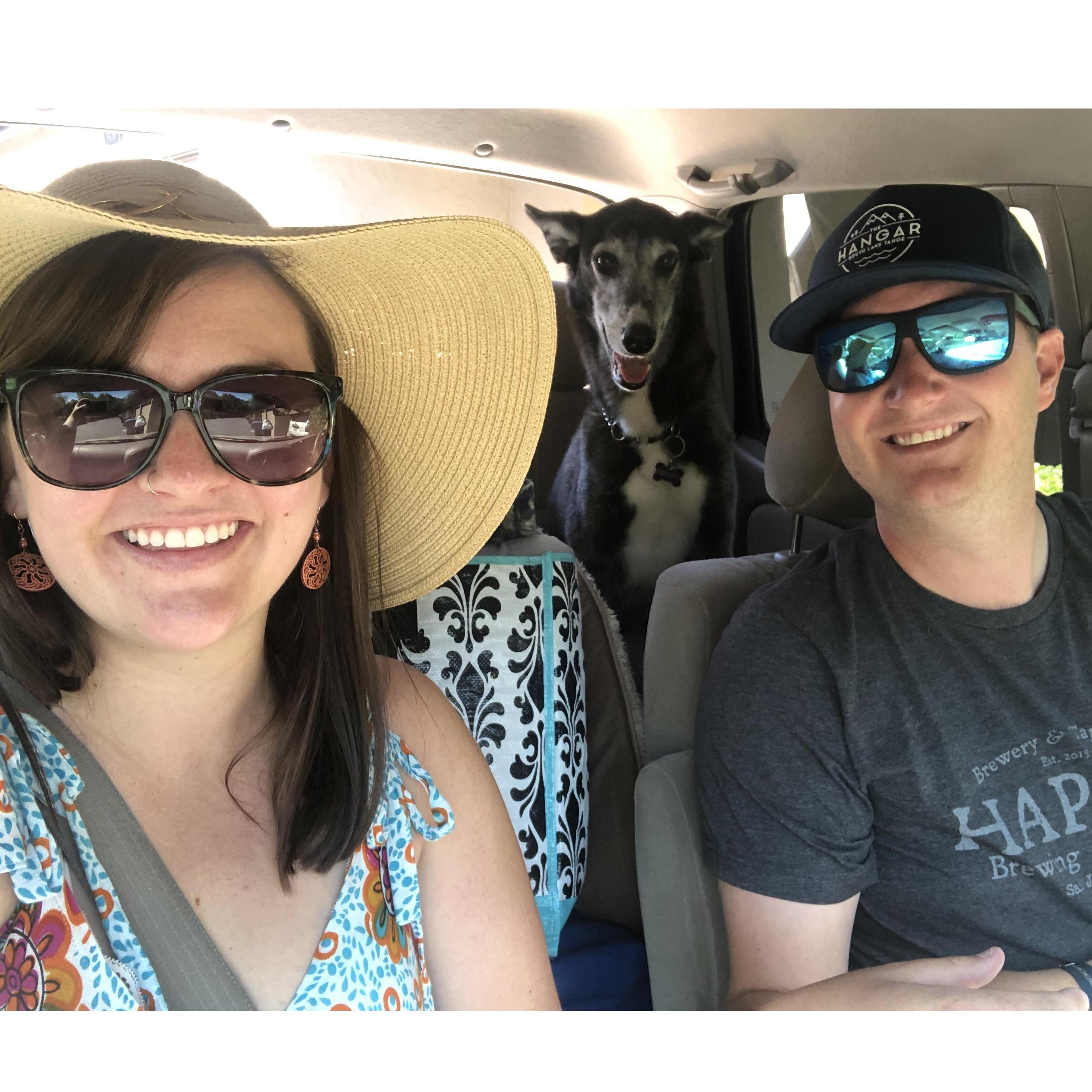 Camping 2019