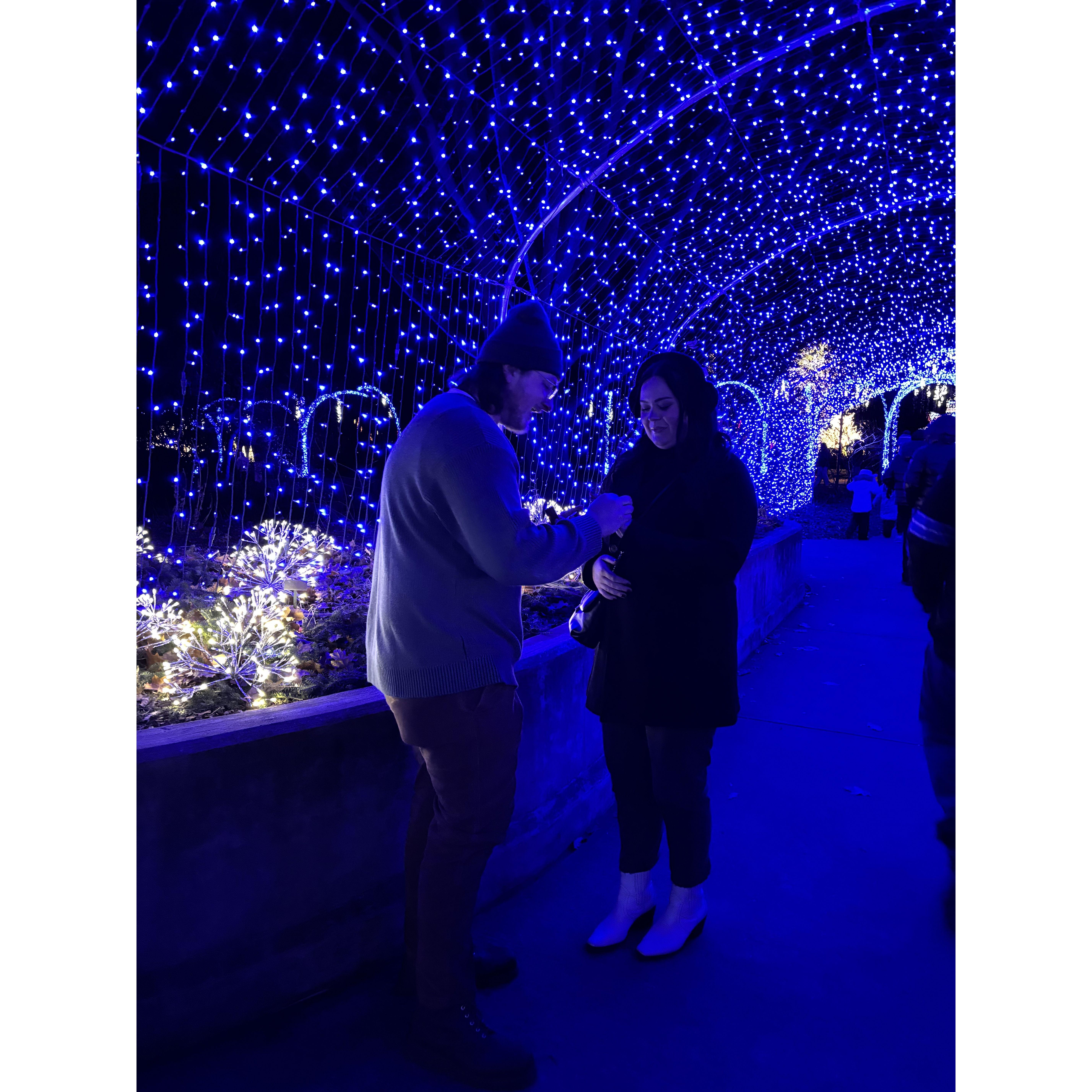Remember those blue lights? They came back in the best way. We got engaged in the same spot at Newfields, under those glowing blue Christmas lights — perfect full circle moment