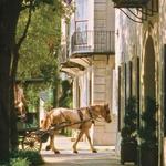Palmetto Carriage Works Tour