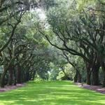 Charles Towne Landing State Historic Site