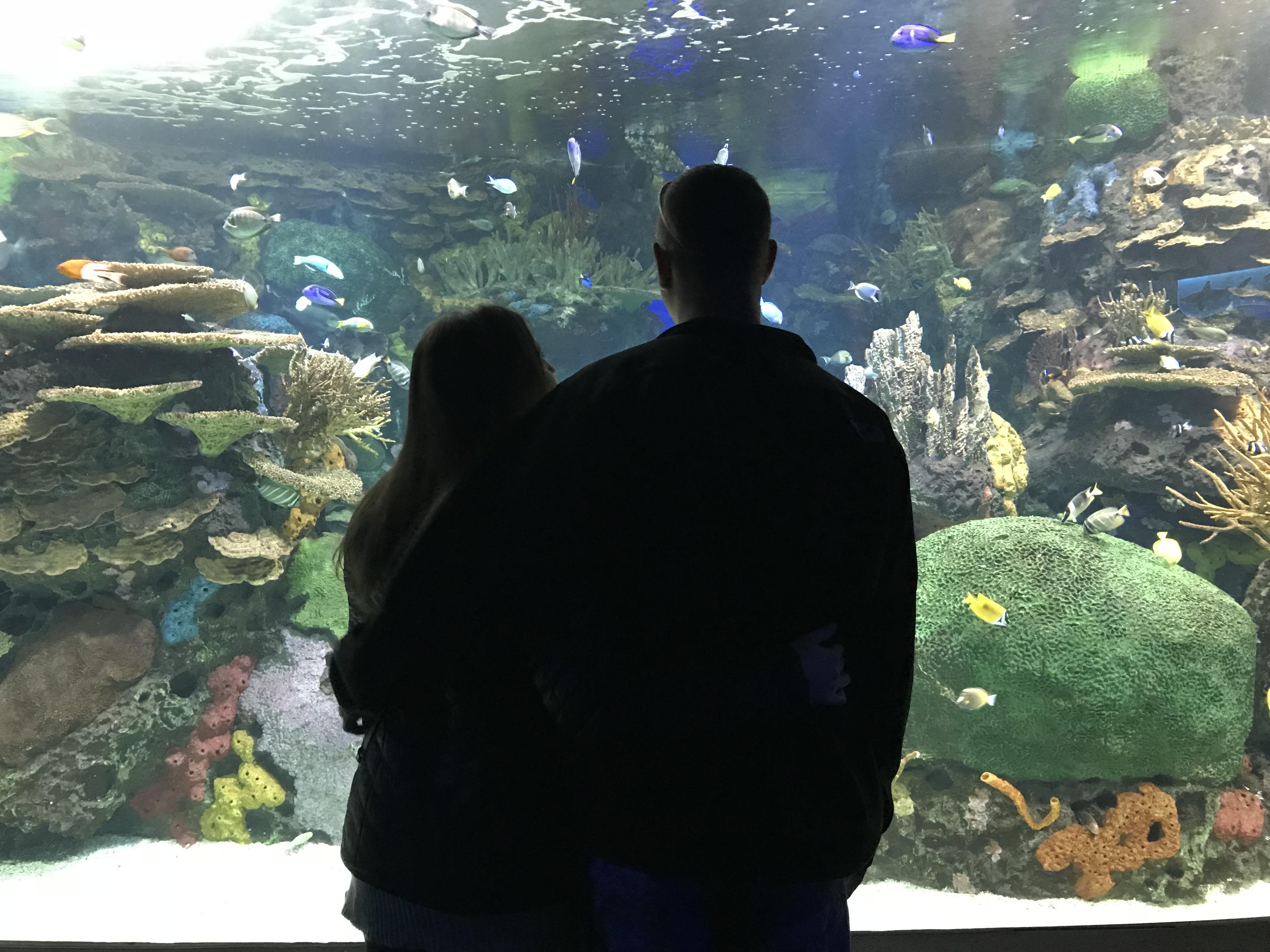 dfcbadca-3404-4fba-b3ad-37c71ed6715c