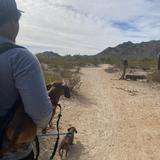 San Tan Mountain Regional Park