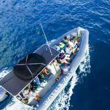 Snorkel & Whale Watch Tours