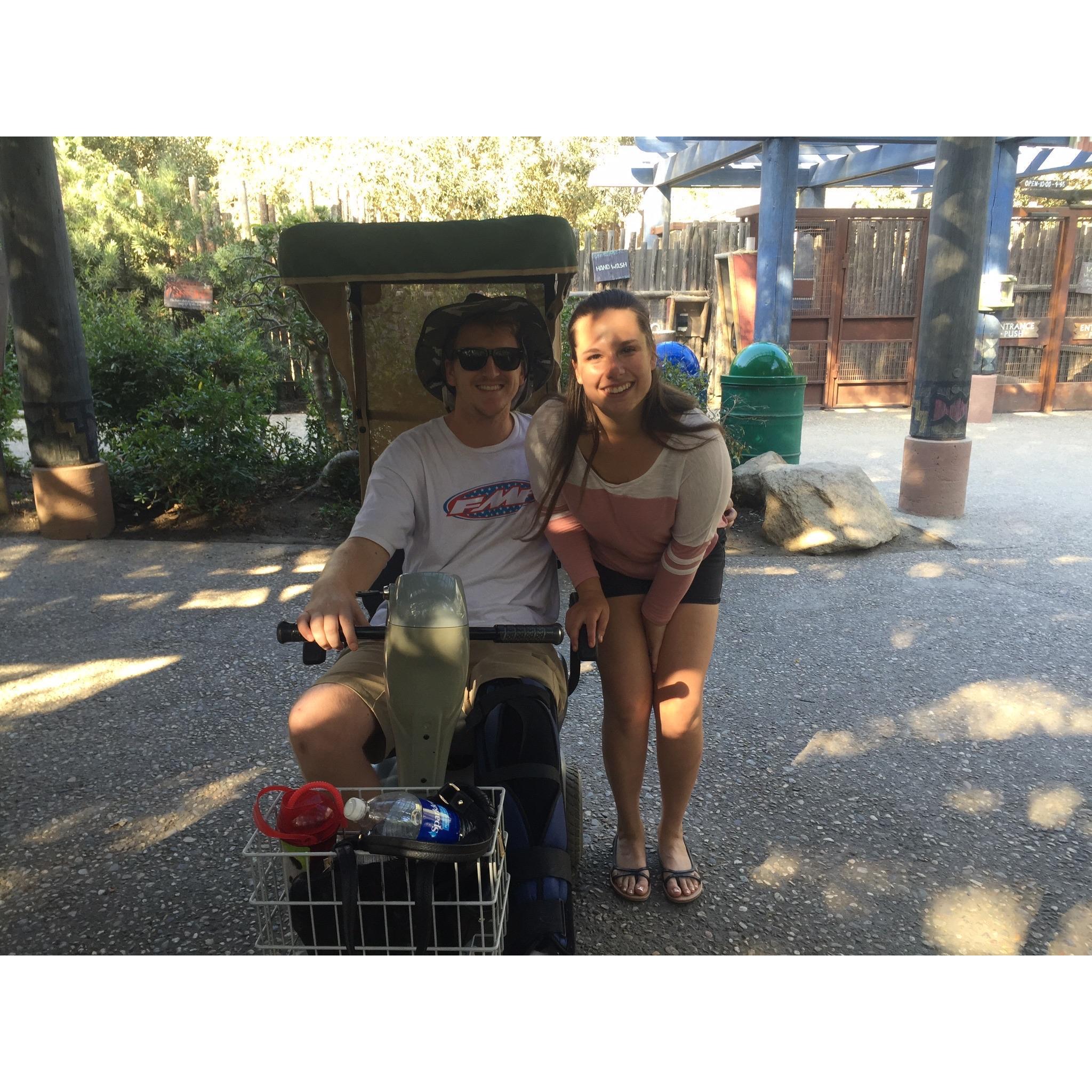 Post knee surgery wild animal park trip.