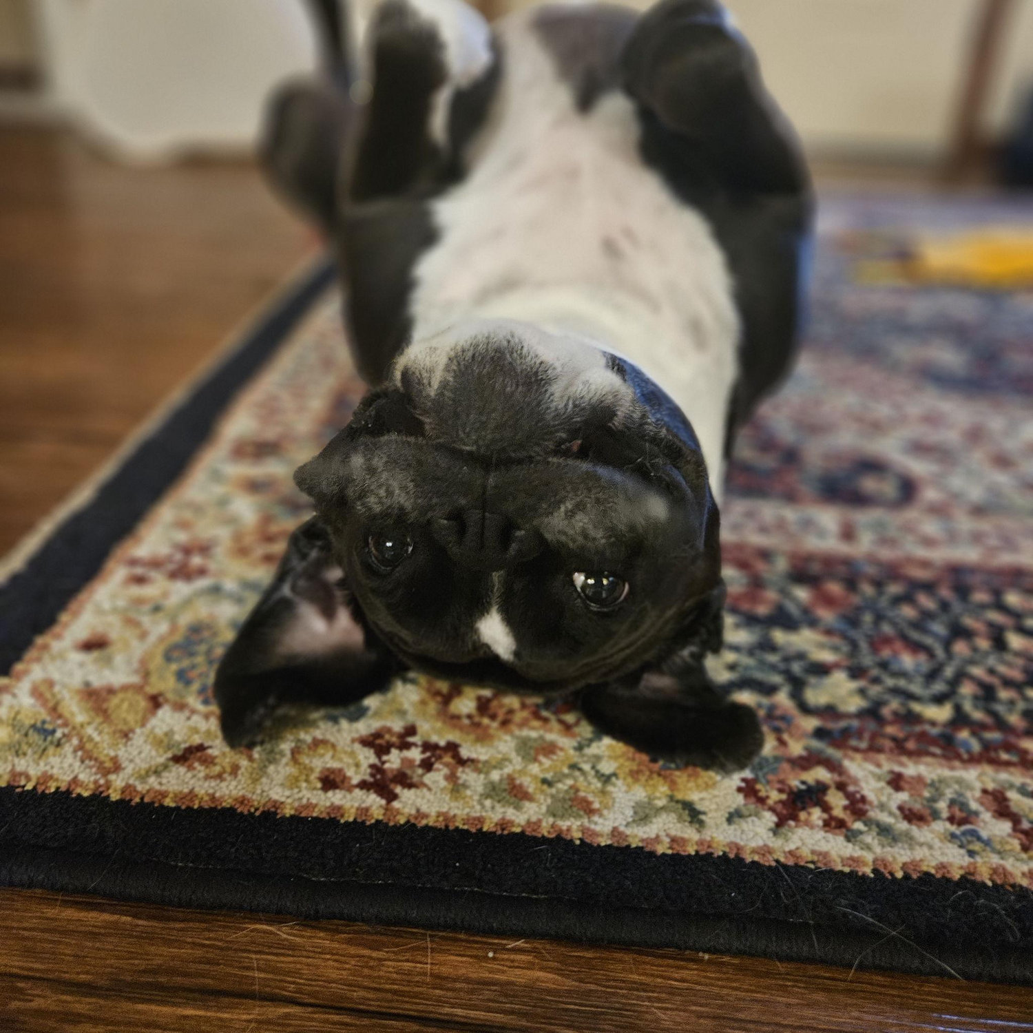 Our baby, Rowan