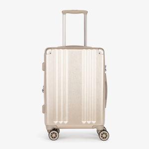 CALPAK Gold Ambeur Carry-On Luggage