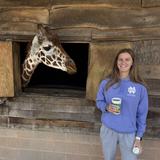 Zootastic Park