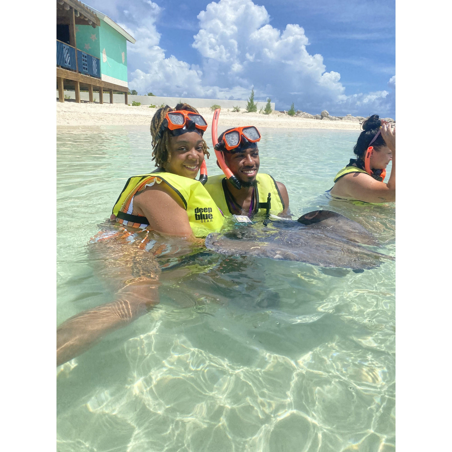 Petting sting rays in princess cay