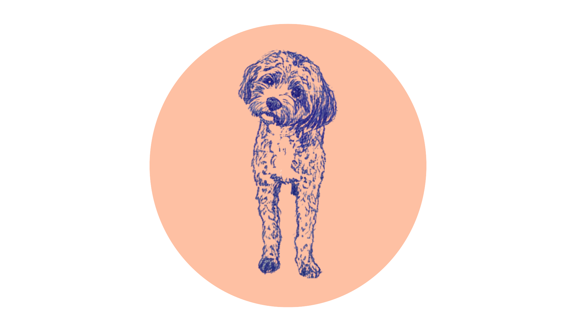 Footer image