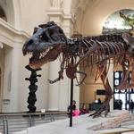 Field Museum