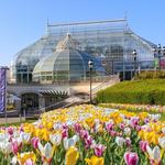 Phipps Conservatory and Botanical Gardens