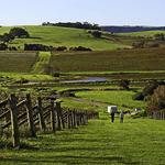 Crooked River Wines - Winery, Cellar Door & Restaurant