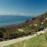 Discovery Park