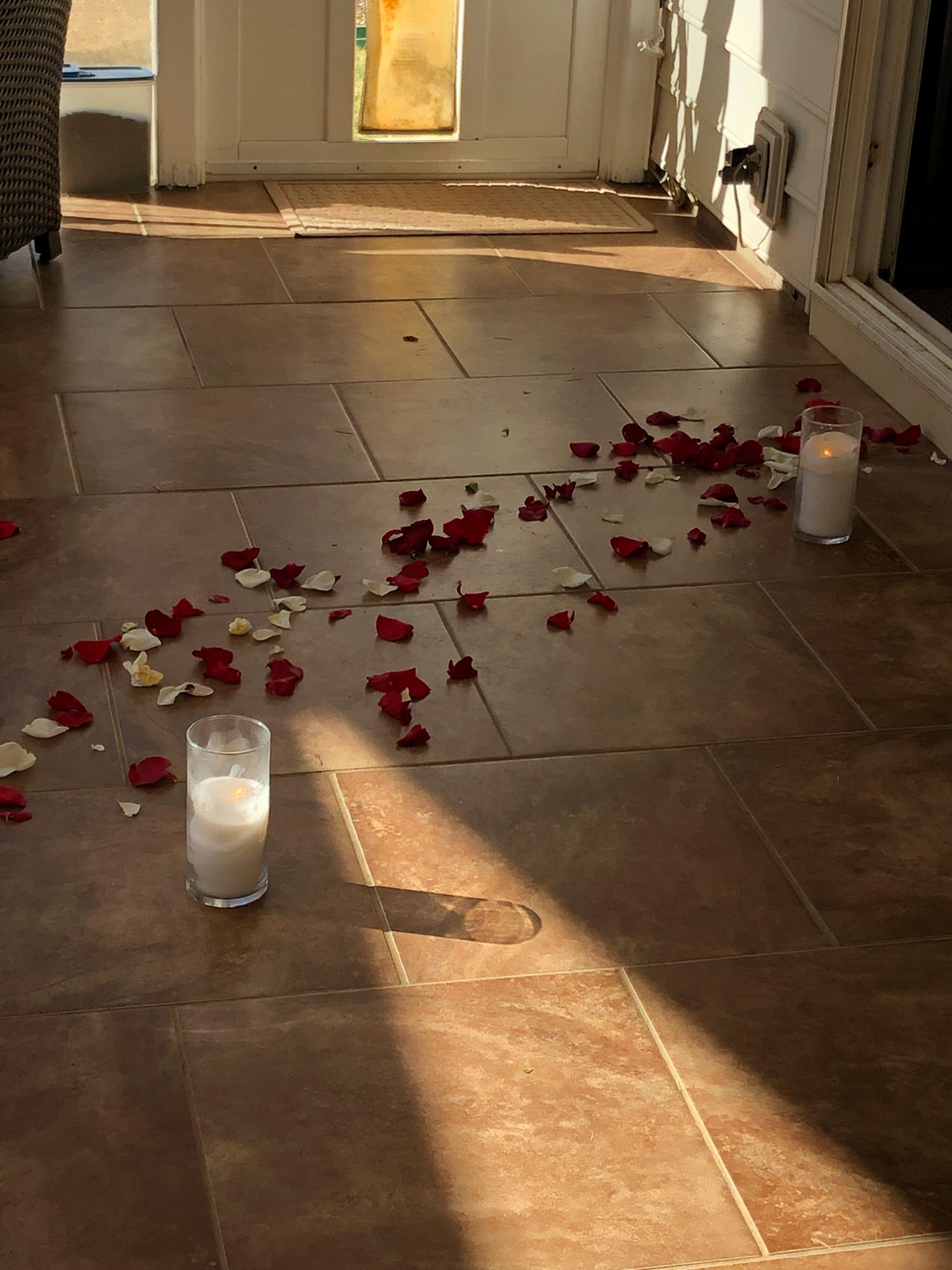 Rose pedals led the way for Allison to find David down on one knee.