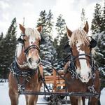 Sleigh Ride