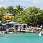 Feed the Tarpon at Robbie's Marina!