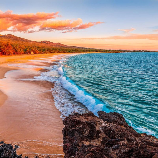 Honeymoon in Maui