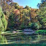 Edith J. Carrier Arboretum