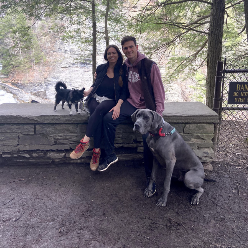 We're still trying to figure out how to smuggle Hank & Davey to Mexico...