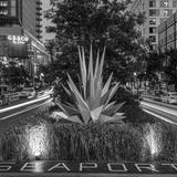 The Seaport