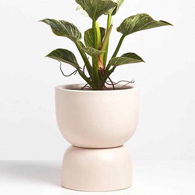 PEACH & PEBBLE Ceramic Hourglass Planter. 3 Piece Plant Pot Set with Drainage Hole and Drainage Cup for Indoor Plants. (12 inch, Soft Pink)