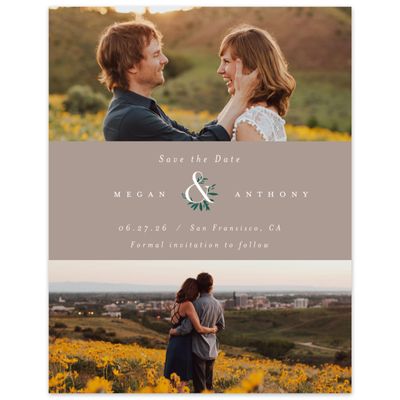 Rich Taupe, Brown Wedding Digital Save the Date - Jackson Multiphoto