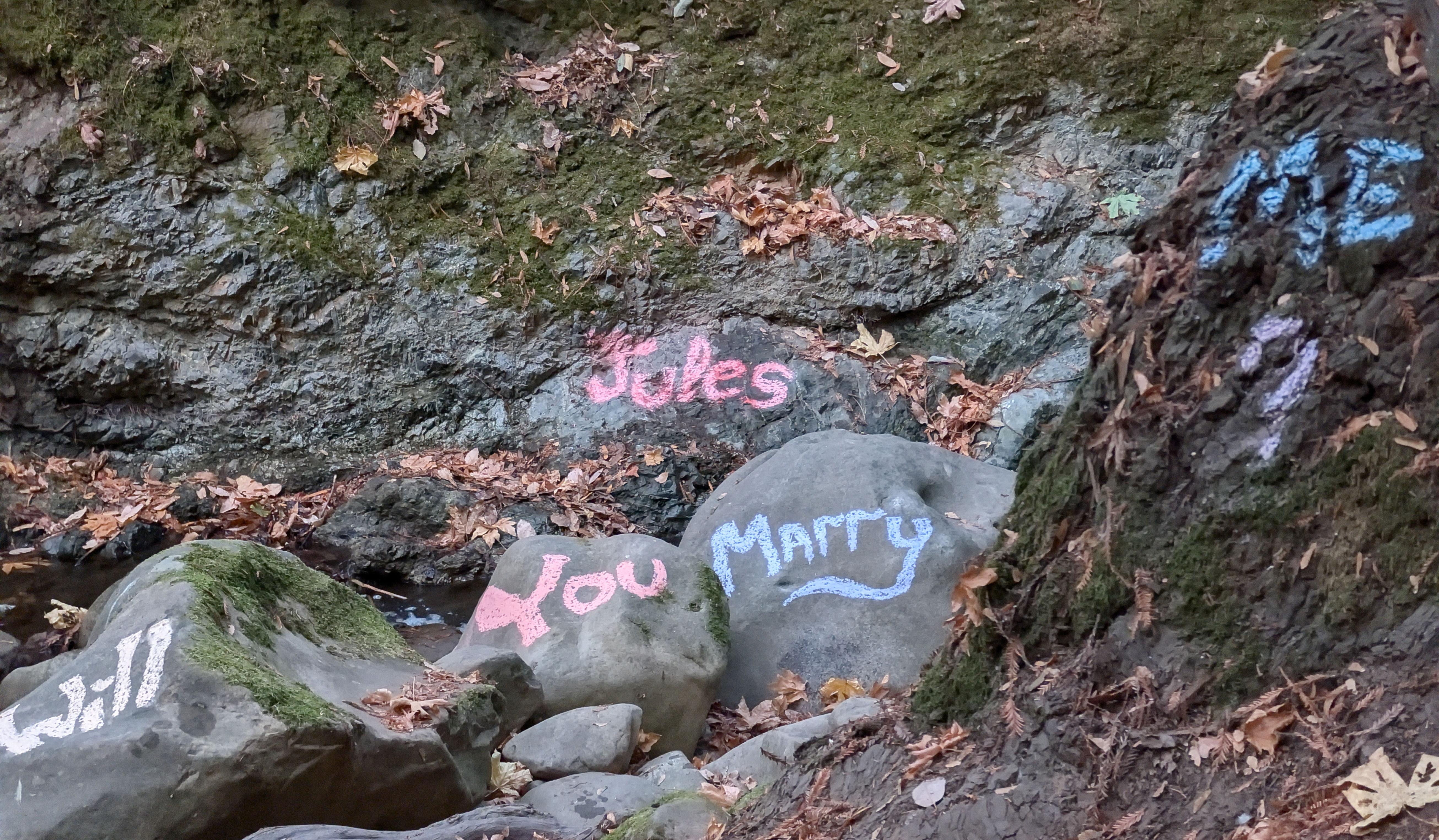 Hero Slideshow Image 0