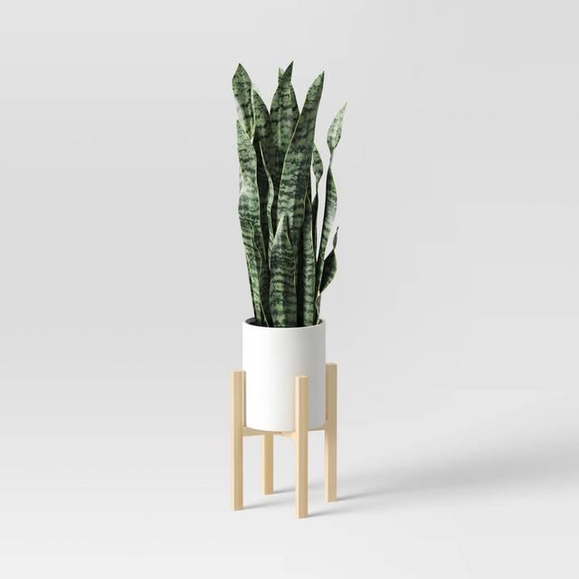 Snake Plant in Plant Stand - Threshold™