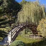 The Huntington Library, Art Museum, and Botanical Gardens