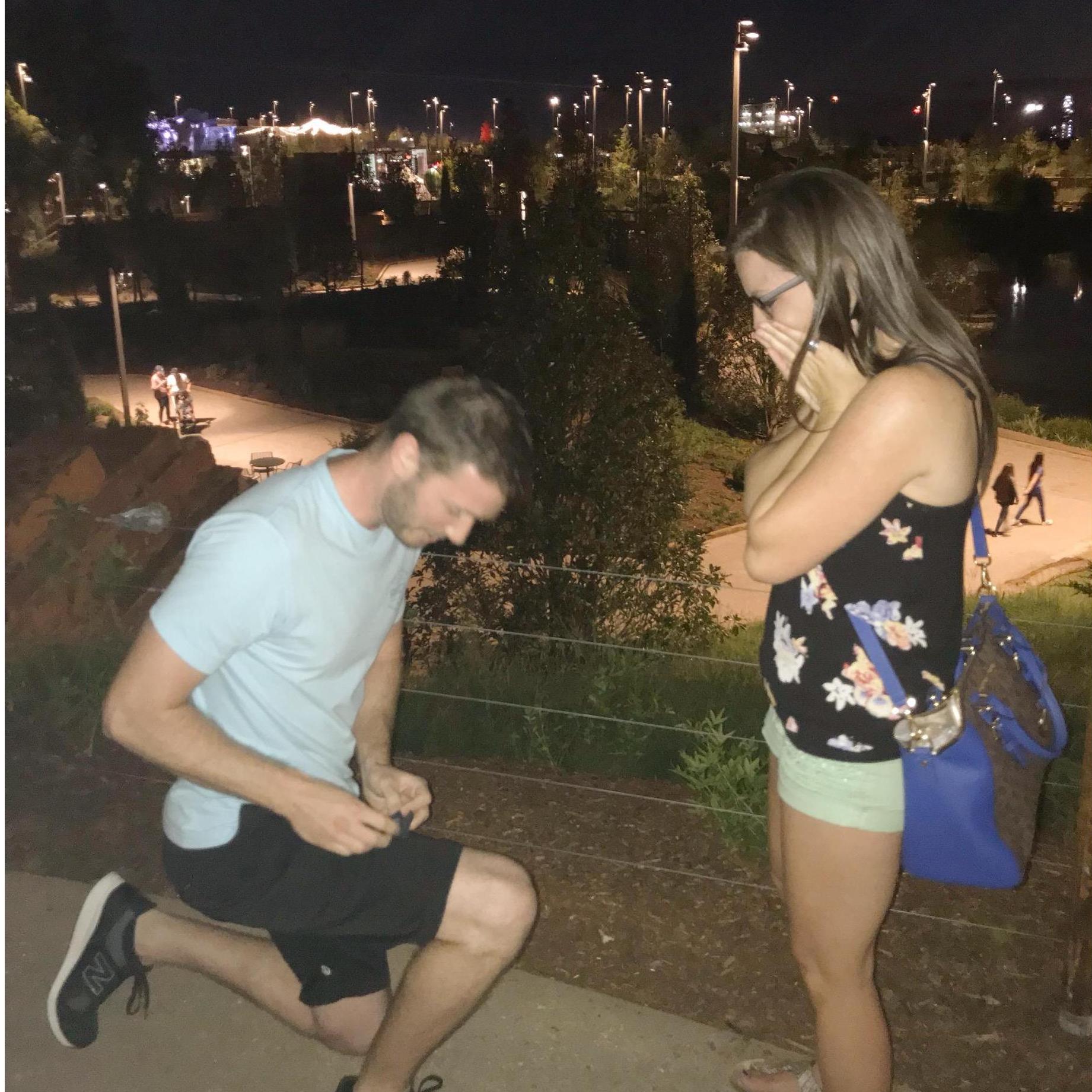 The Proposal. September 14th, 2018