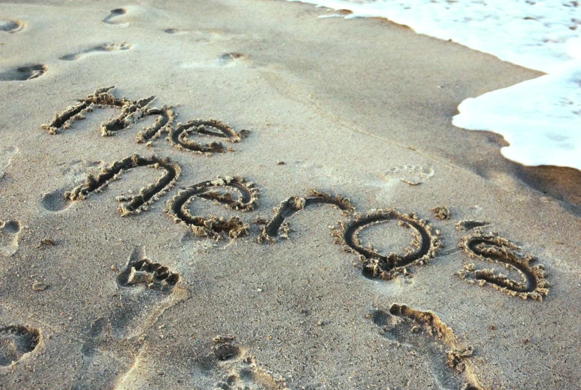 The Wedding Website of Sophia Reider and Aaron Nero