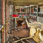 Grand Rapids Public Museum