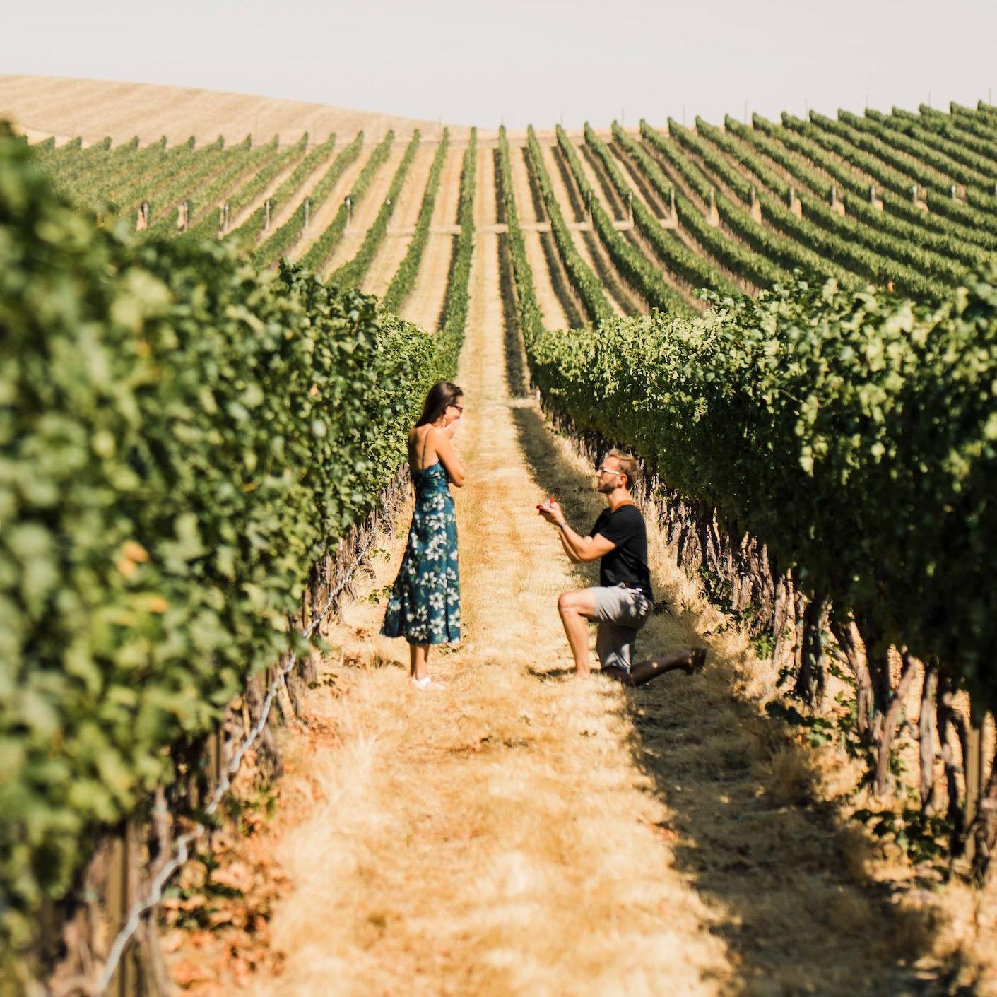 2020. Kevin's proposal at Walla Walla Vintners!