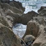 Bathtub Reef Beach