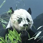 Smithsonian National Zoological Park