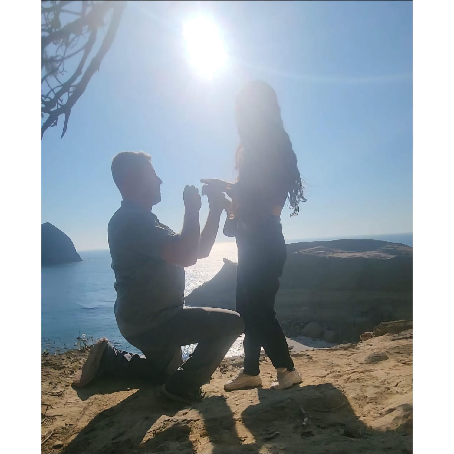 She said yes!