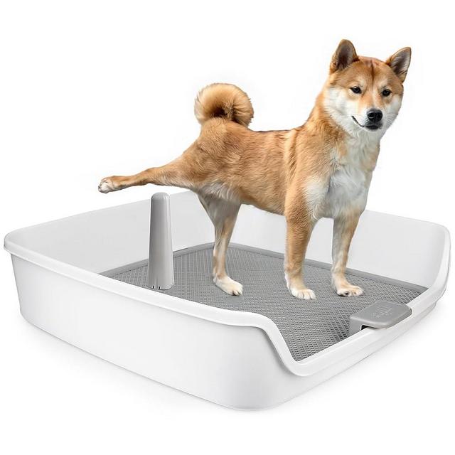 ALL FOR PAWS Pee Pad Holder, Dog Litter Box Large Size, Dog Pads/Puppy Pads Holder, Dog Potty Tray for Dog Potty Training,24.8" x 24.8"