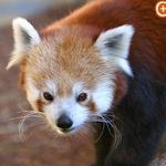 Zoo Boise