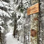 Mount Waumbek Hike