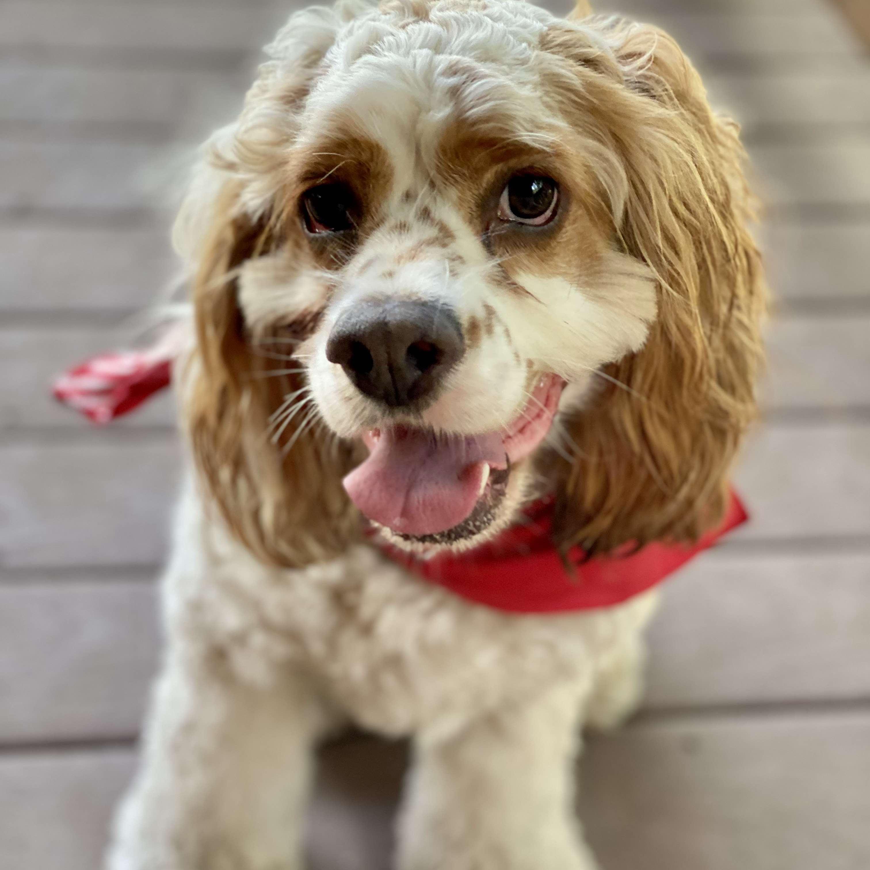 How could you not love this face?