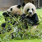 Smithsonian National Zoological Park