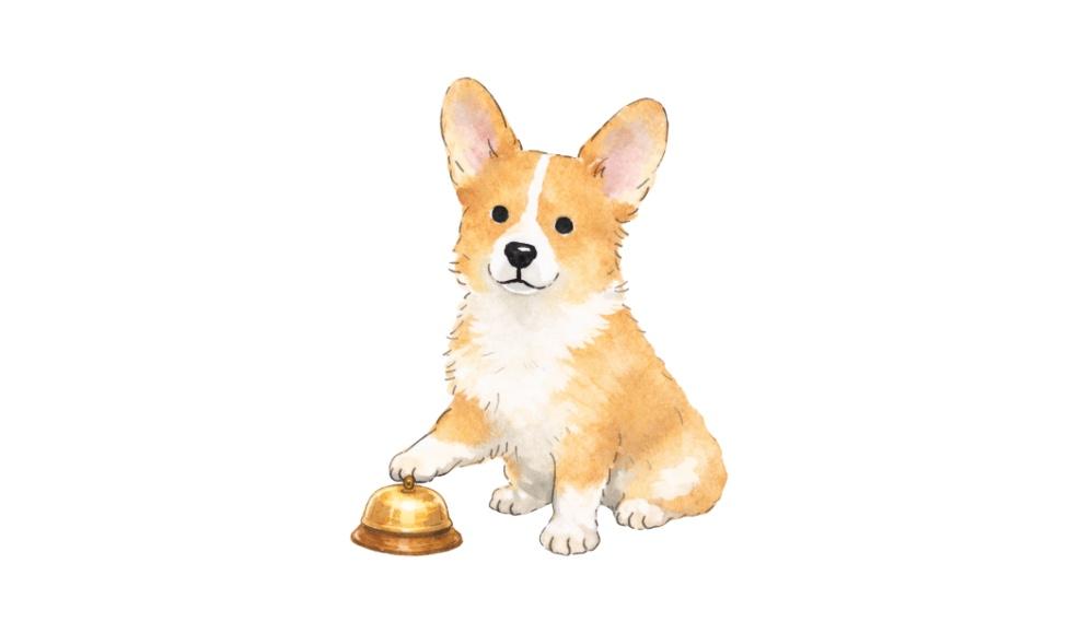 The Wedding Website of Abigail Pfahl and Nicholas Battaglia